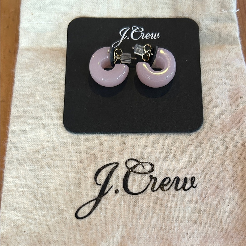 J. Crew NWT Mini Resin Hoops - Light Baby Pink